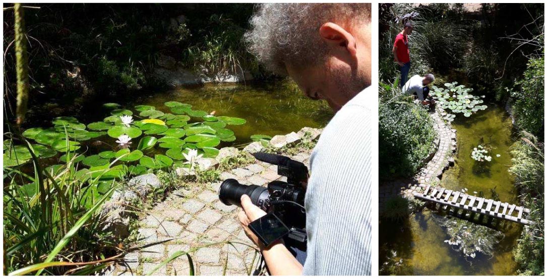 Il Laghetto del Centro di Entomologia - Piombino (LI)